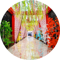 Carpets & Aisle Runners